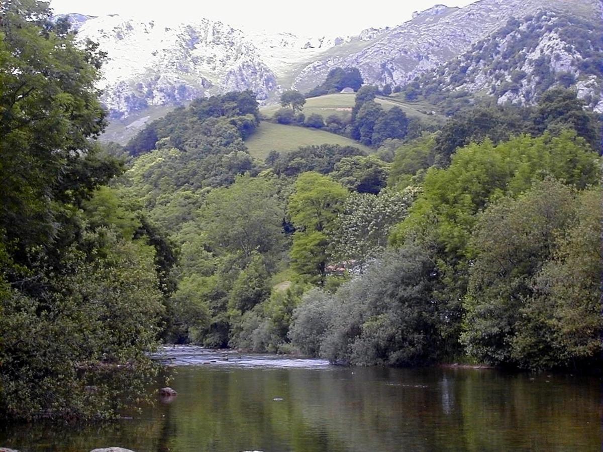 Apto Valle Encantado, Piscina Y Vistas, Tu Escapada Perfecta Gibaja Kültér fotó
